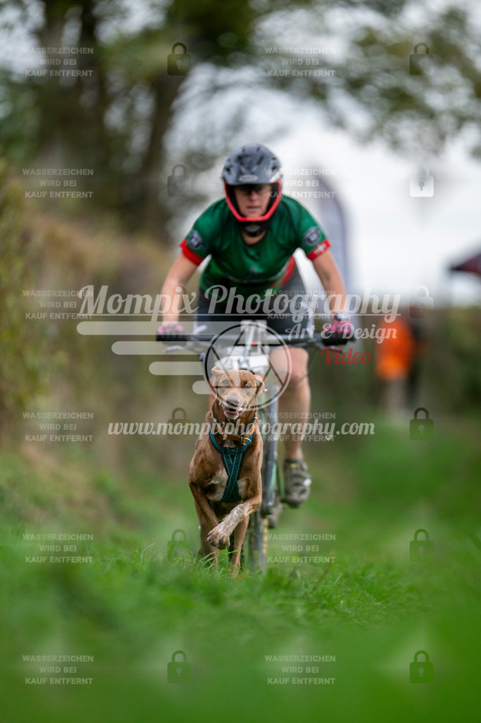 TSB_2023_E8_Bike-85 | PayLife