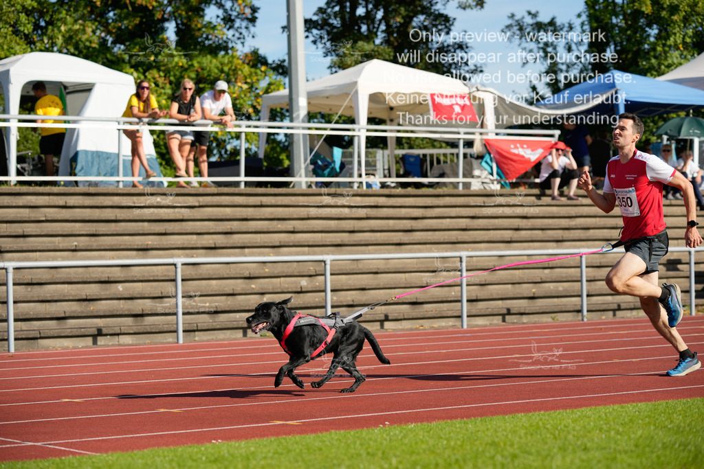 Sonntag_Staffel (176 von 336) | stephaniefillaphotographie - Realisiert mit Pictrs.com