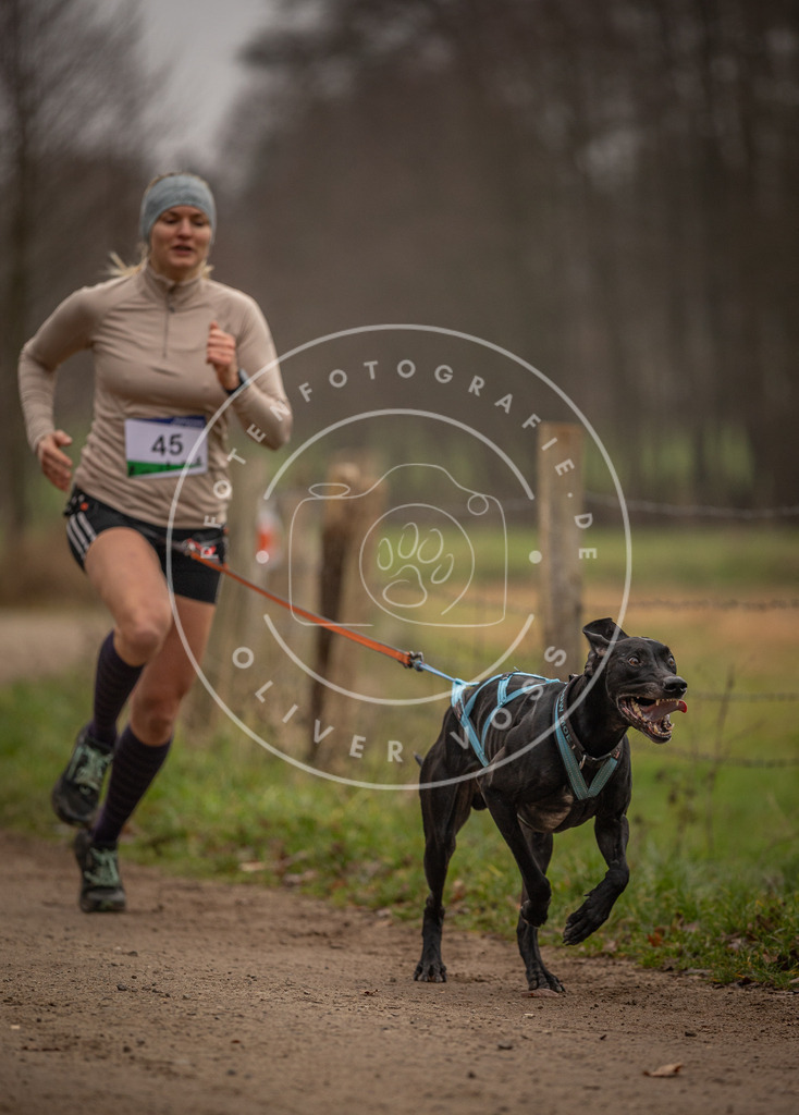 Pfotenfotografie_DV3A2740 | Hundefotografie, Tierfotograf, Pfotenfotografie, Fotoshooting Hund, Hunde Portrait, Hundesport, Hundeportraits, Heideshooting, Hunde, Sportfotograf, Hundefotograf, Turnierhundsport, THS,  - Realisiert mit Pictrs.com
