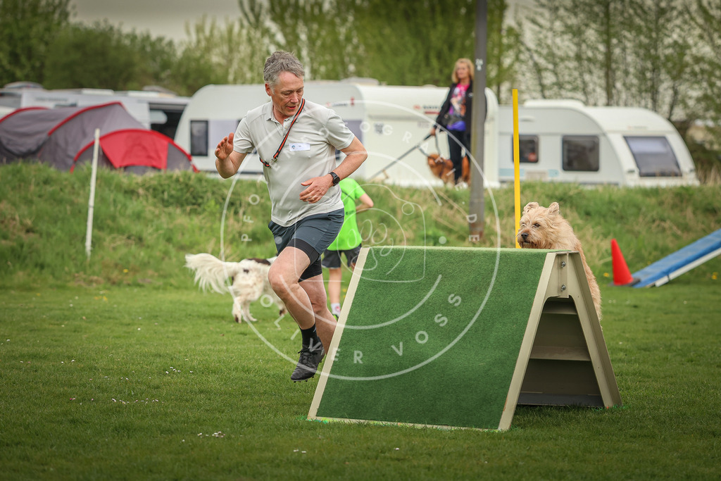 Pfotenfotografie_0L8A0991 | Hundefotografie, Tierfotograf, Pfotenfotografie, Fotoshooting Hund, Hunde Portrait, Hundesport, Hundeportraits, Heideshooting, Hunde, Sportfotograf, Hundefotograf, Turnierhundsport, THS,  - Realisiert mit Pictrs.com