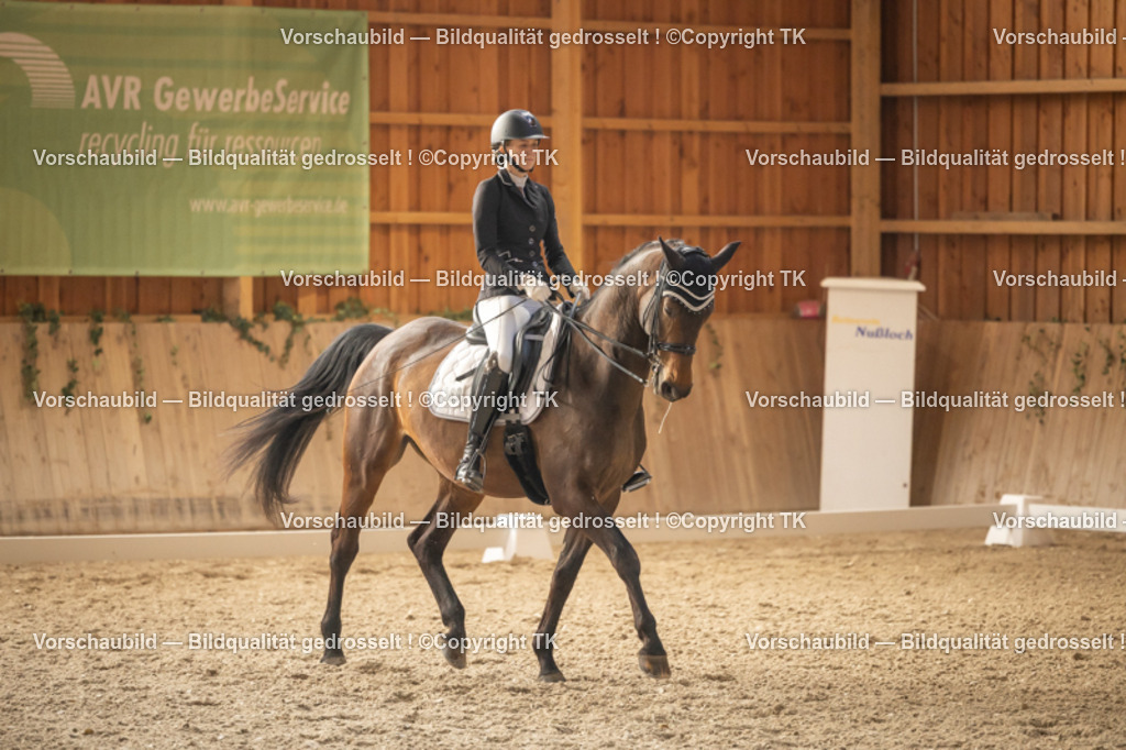 _D5A3377 | Emotionale Pferde- & People-Fotografie rund um Heidelberg, Leimen & Umgebung. Natürliche Fotos von Pferd, Mensch & Familie. Jetzt Termin sichern!