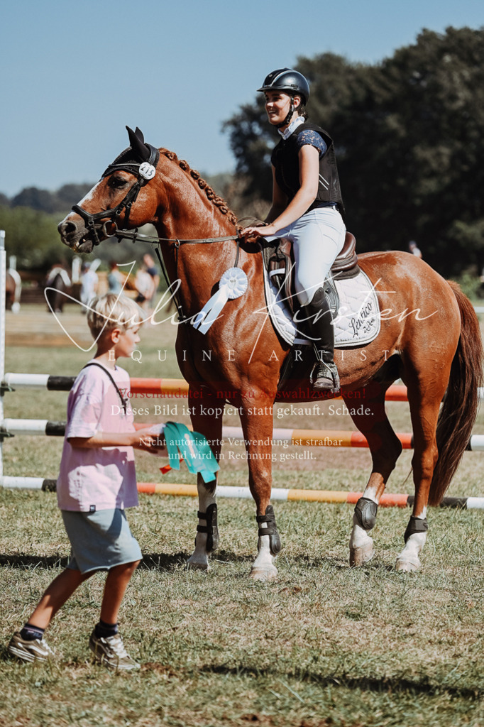DSC_0110 | Pferde- und Turnierfotografie in Westsachsen. Pferdeportraits, Auftragszeichnungen und intuitive Kunst.