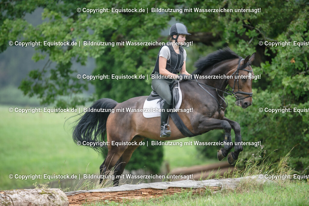 20250726_Vielseitigkeitslehrgang-Marbach_0370 | Foto: Thomas Hartig