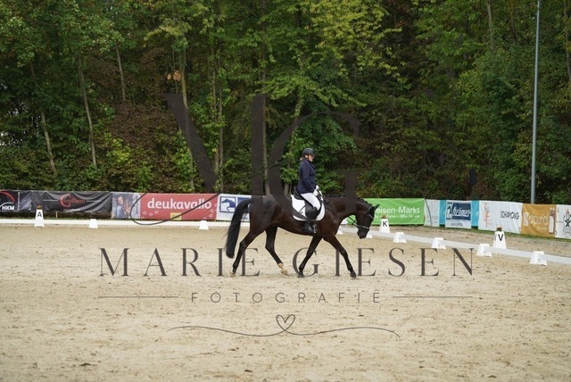 VAN01386 | Marie Giesen Fotografie - Realisiert mit Pictrs.com