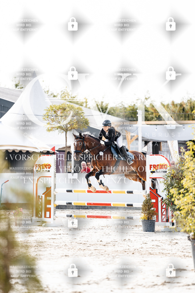 CK905644 | Turnierfotografie Pferdefotografie Trier Rheinland-Pfalz Pferdesport Reitsport Tierfotografie Sportfotografie Pferdevideo Pferdevideografie Equestrianvideography equestrianphotography  - Realisiert mit Pictrs.com