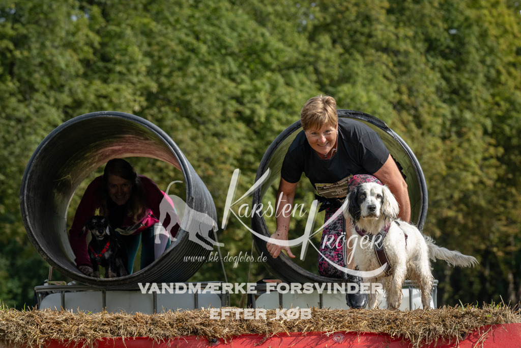 1134_ZZ94822 | kk-dogfotos