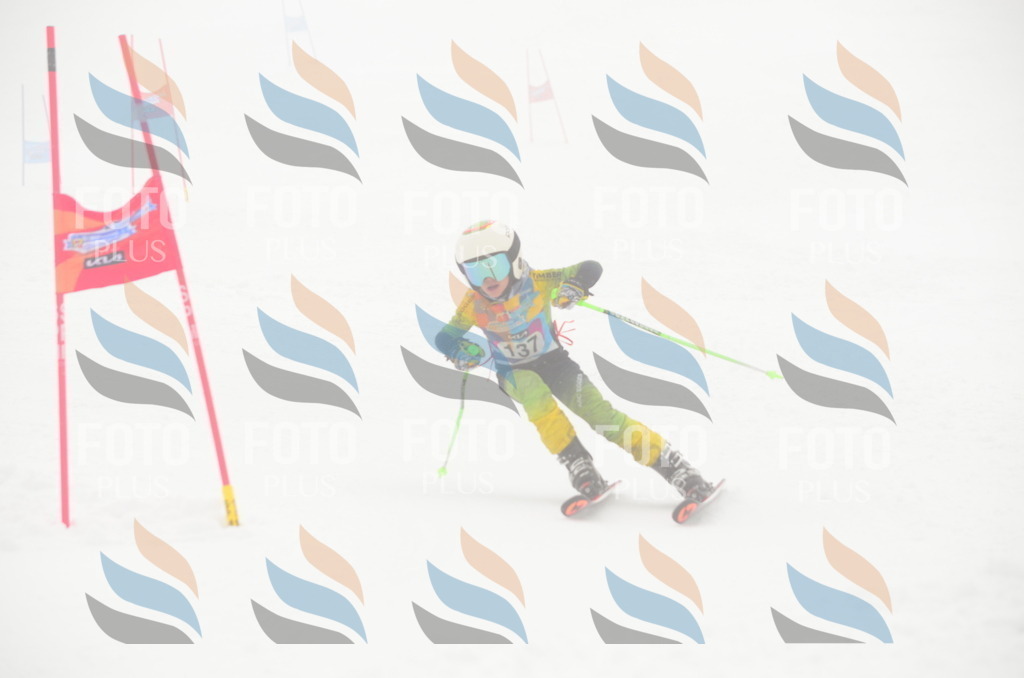 C1686 | holidayphoto