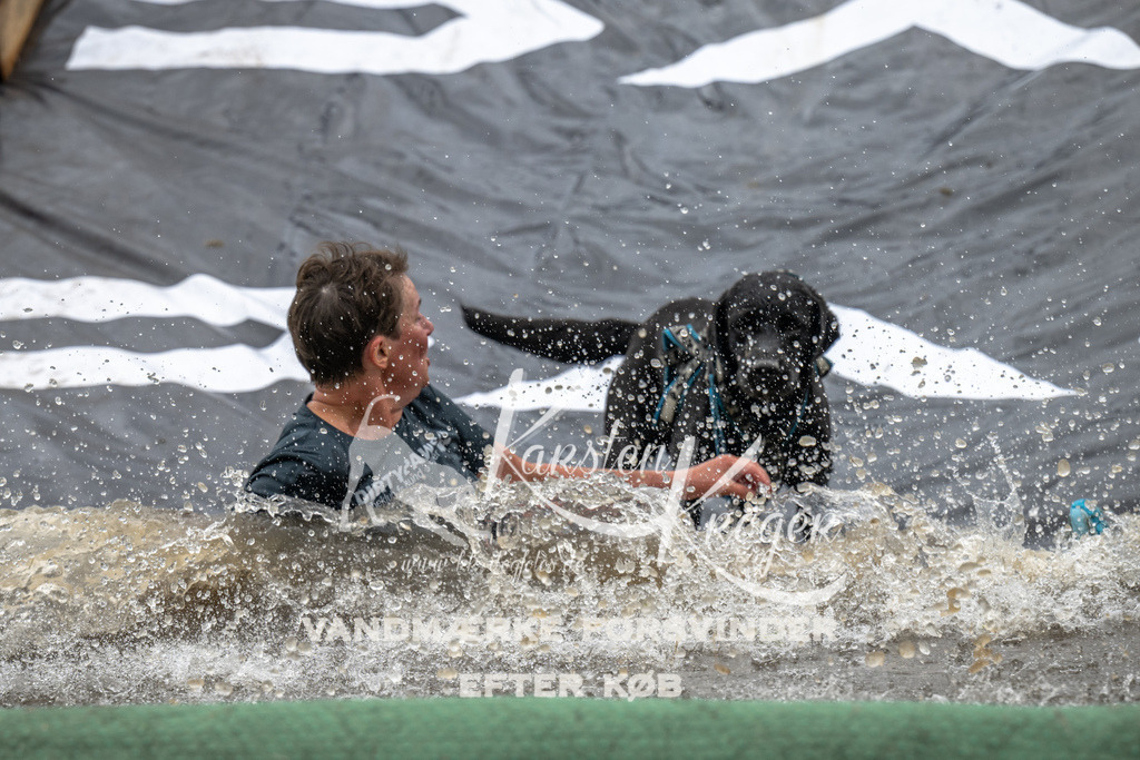 1331_ZZ92246 | kk-dogfotos