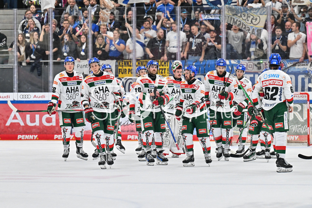 ERC Ingolstadt - Augsburger Panther | Niedergeschlagene Augsburger nach der Niederlage in Ingolstadt / Traurig / DEL: ERC Ingolstadt - Augsburger Panther, Saturn Arena am 03.11.2024