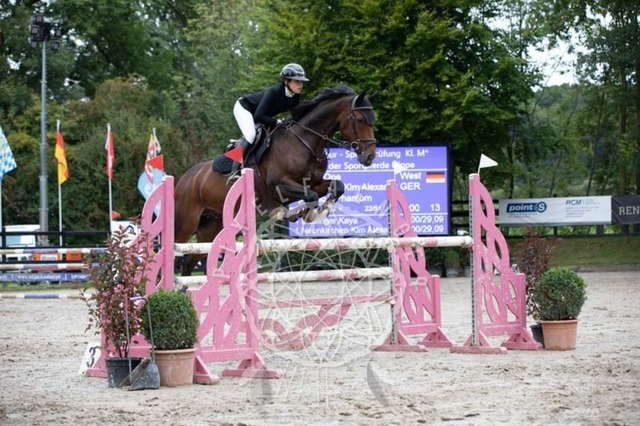 2B4A3500 | pixelfaenger - Realisiert mit Pictrs.com