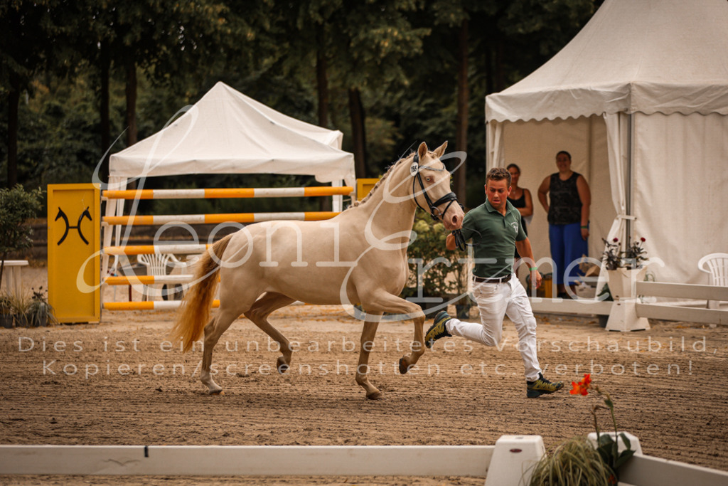 10.So00048 | Leoni Ertmer Photography - Realisiert mit Pictrs.com