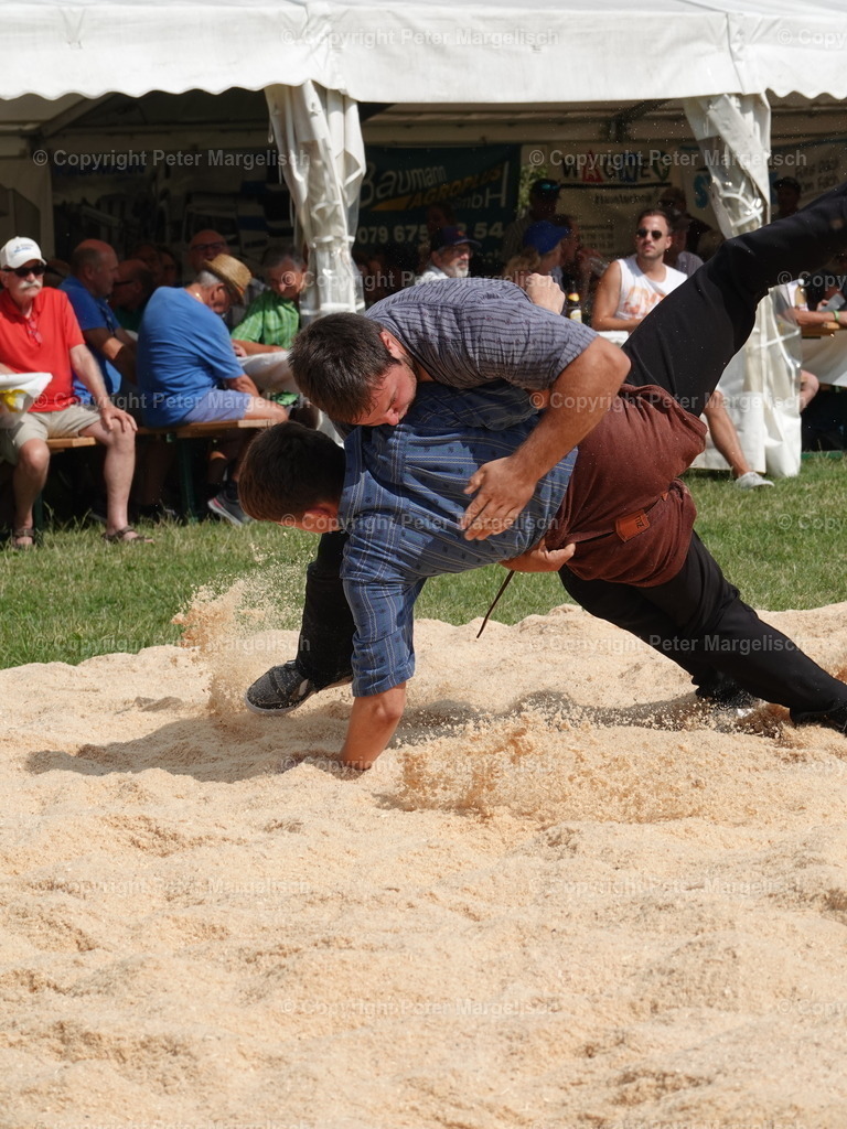 DSC05162 | Schwingen - Realisiert mit Pictrs.com