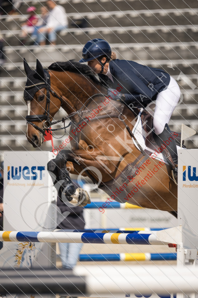 IMG_5186 | Sport-, Event- und Tierfotos in Profiqualität. Einfach auswählen, bestellen und herunterladen. Dein Moment – perfekt festgehalten.