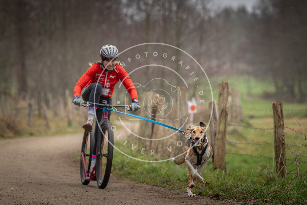 Pfotenfotografie_DV3A2092 | Hundefotografie, Tierfotograf, Pfotenfotografie, Fotoshooting Hund, Hunde Portrait, Hundesport, Hundeportraits, Heideshooting, Hunde, Sportfotograf, Hundefotograf, Turnierhundsport, THS,  - Realisiert mit Pictrs.com