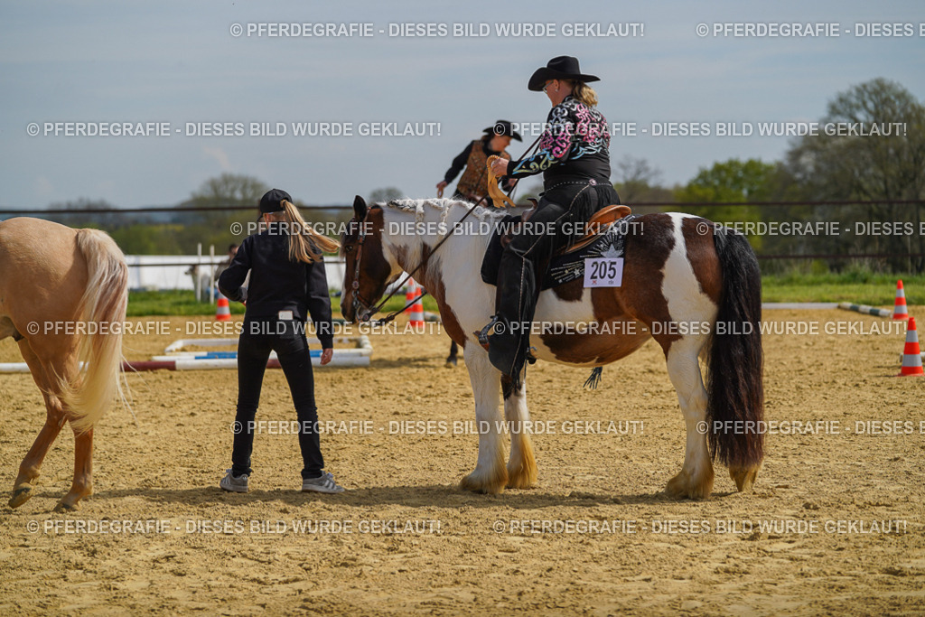 DSC04211 | Pferdegrafie