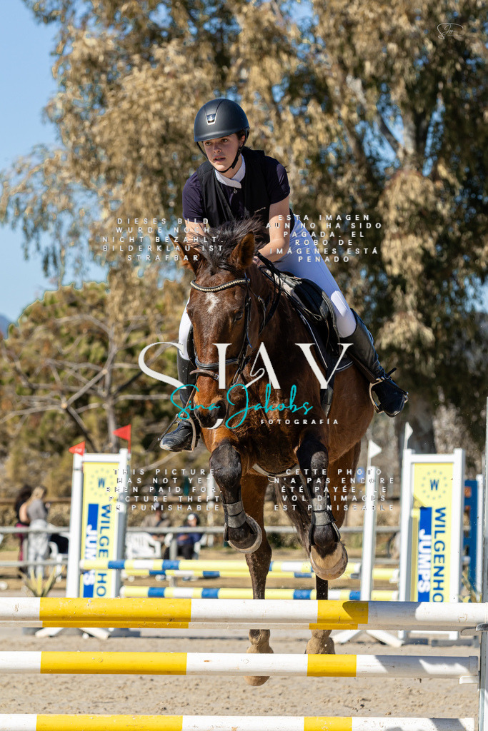 IMG_9315 | s-jay-photography - Realisiert mit Pictrs.com