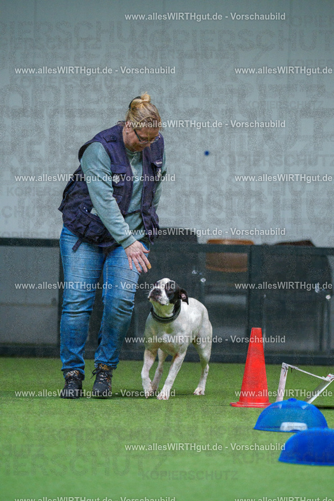7R502982 | Professionelle Tierfotografie in Mönchengladbach von Daniel Wirth (allesWIRTHgut). Liebevolle & natürliche Bilder von Hunden & Katzen für unvergessliche Erinnerungen.