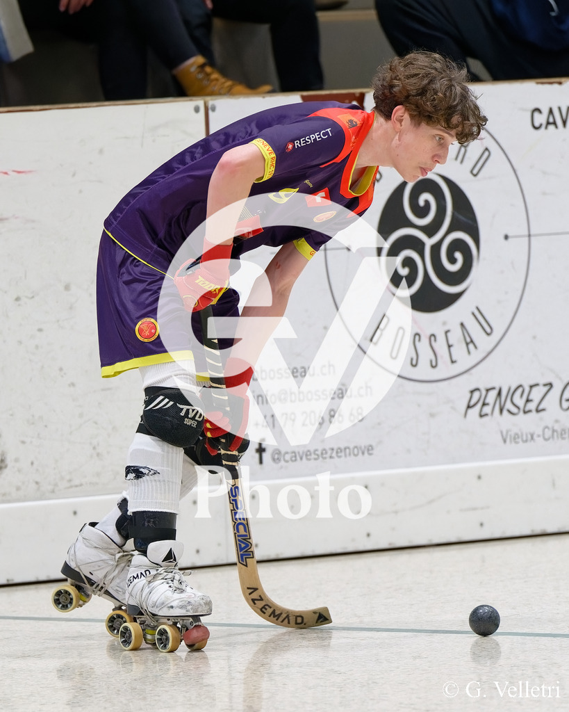 DSC_6162 | Velletri Photo