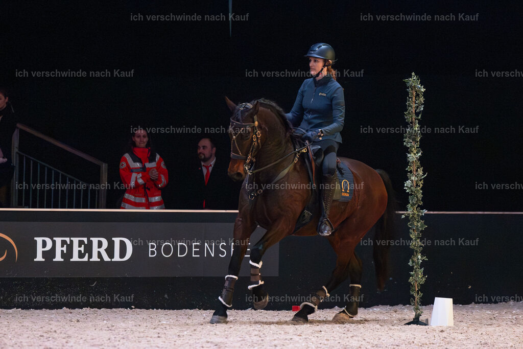 JoseraCup-158 | working equitationturnier fotograf videograf stoibphotography marixx film working equitation deutschland reitsport turnierfotografie eventfotografie equestrian events