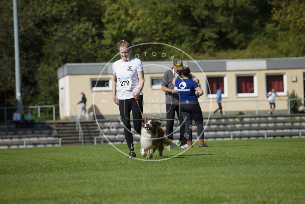 0L8A2488 | Hundefotografie, Tierfotograf, Pfotenfotografie, Fotoshooting Hund, Hunde Portrait, Hundesport, Hundeportraits, Heideshooting, Hunde, Sportfotograf, Hundefotograf, Turnierhundsport, THS,  - Realisiert mit Pictrs.com