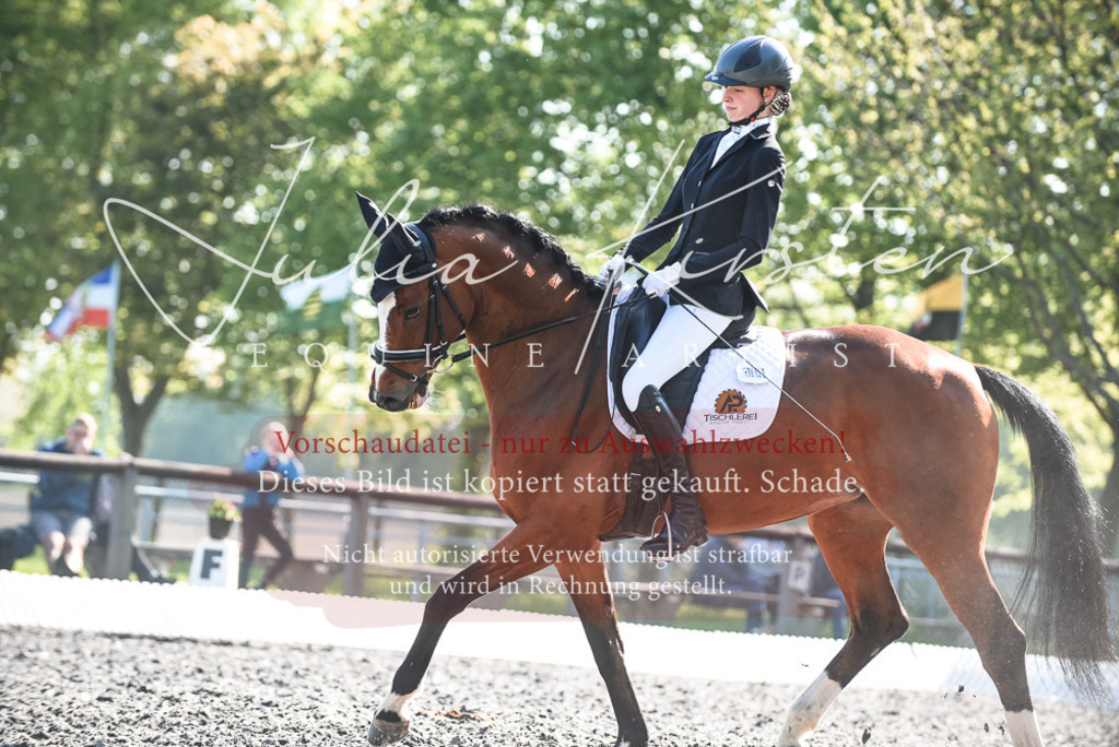 DSC_8671 | Pferde- und Turnierfotografie in Westsachsen. Pferdeportraits, Auftragszeichnungen und intuitive Kunst.