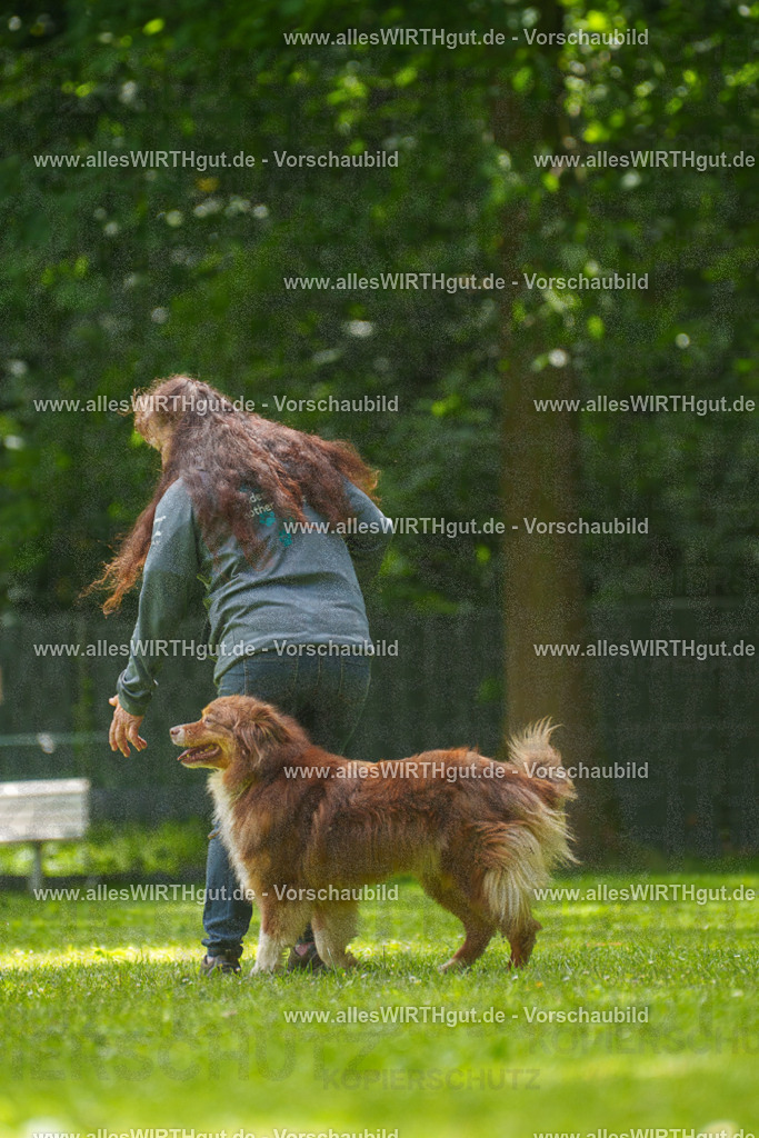 @allesWIRTHgut_Tierfotografie - www.allesWIRTHgut.de - 7R500800 | Professionelle Tierfotografie in Mönchengladbach von Daniel Wirth (allesWIRTHgut). Liebevolle & natürliche Bilder von Hunden & Katzen für unvergessliche Erinnerungen.