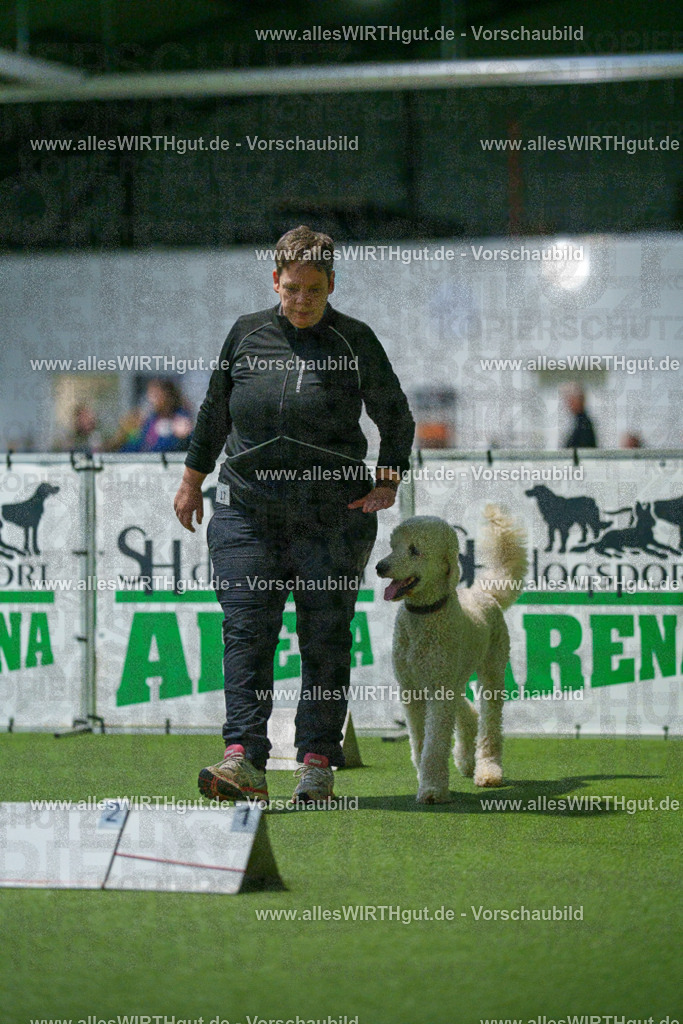 7R505513 | Professionelle Tierfotografie in Mönchengladbach von Daniel Wirth (allesWIRTHgut). Liebevolle & natürliche Bilder von Hunden & Katzen für unvergessliche Erinnerungen.