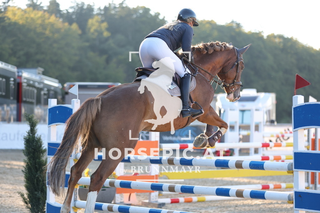0P6A1957 | Willkommen bei Brunnmayr - Design & Fotografie – Ihrem Spezialisten für Reitturniere und Pferdeveranstaltungen in Oberösterreich, Salzburg und Bayern! Seit über 17 Jahren sind wir leidenschaftlich dabei.