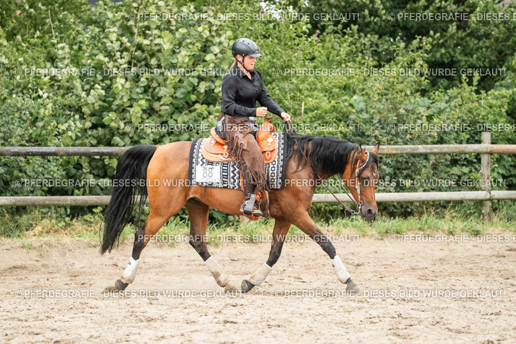 DSC04409 | Pferdegrafie