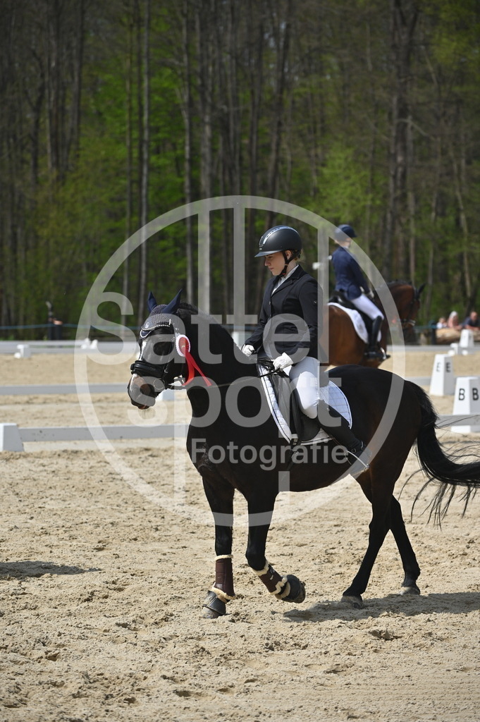 DSC_2658 | sattelsport - Realisiert mit Pictrs.com