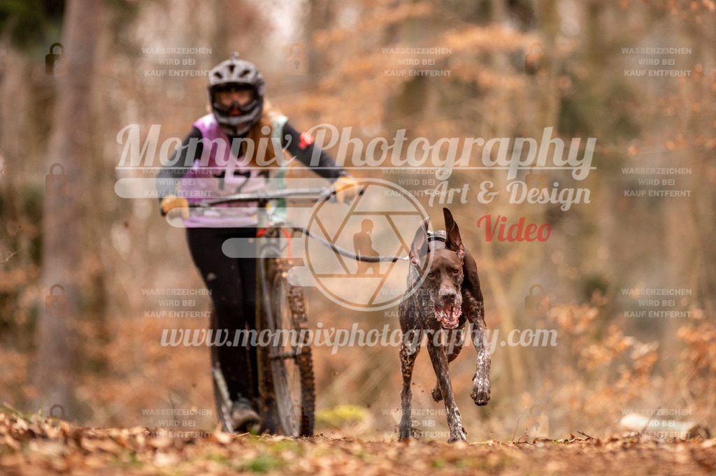 AKM_ST_2023_SAM_Scooter-41 | PayLife