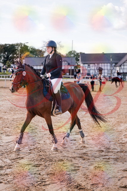 2026_10_03_Siefer-Hof_145535_Z81_36835760 | Professionelle Reitsport-, Turnier- und Eventfotografie von Robert Broda. Galerien mit ausgewählten und bearbeiteten Bildern direkt online ansehen und bestellen.