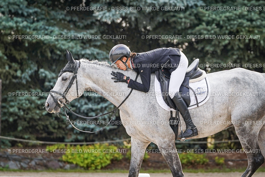 DSC00142 | Pferdegrafie