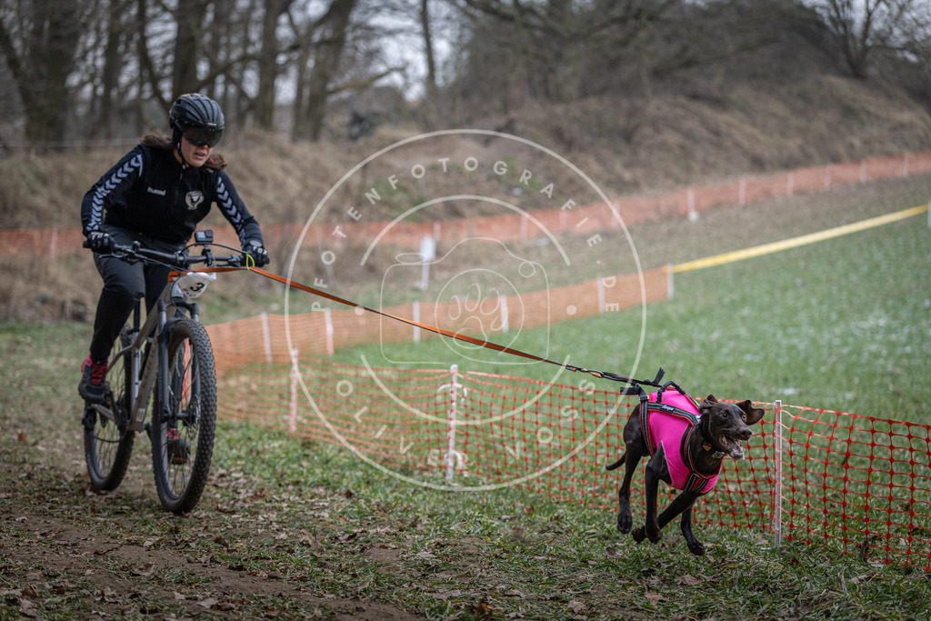 Pfotenfotografie_DV3A9621 | Hundefotografie, Tierfotograf, Pfotenfotografie, Fotoshooting Hund, Hunde Portrait, Hundesport, Hundeportraits, Heideshooting, Hunde, Sportfotograf, Hundefotograf, Turnierhundsport, THS,  - Realisiert mit Pictrs.com