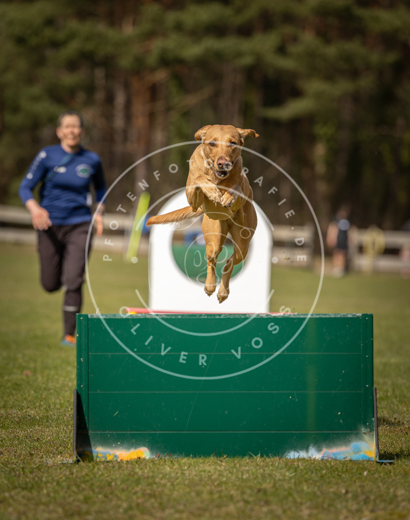 Pfotenfotografie_DV3A0361 | Hundefotografie, Tierfotograf, Pfotenfotografie, Fotoshooting Hund, Hunde Portrait, Hundesport, Hundeportraits, Heideshooting, Hunde, Sportfotograf, Hundefotograf, Turnierhundsport, THS,  - Realisiert mit Pictrs.com
