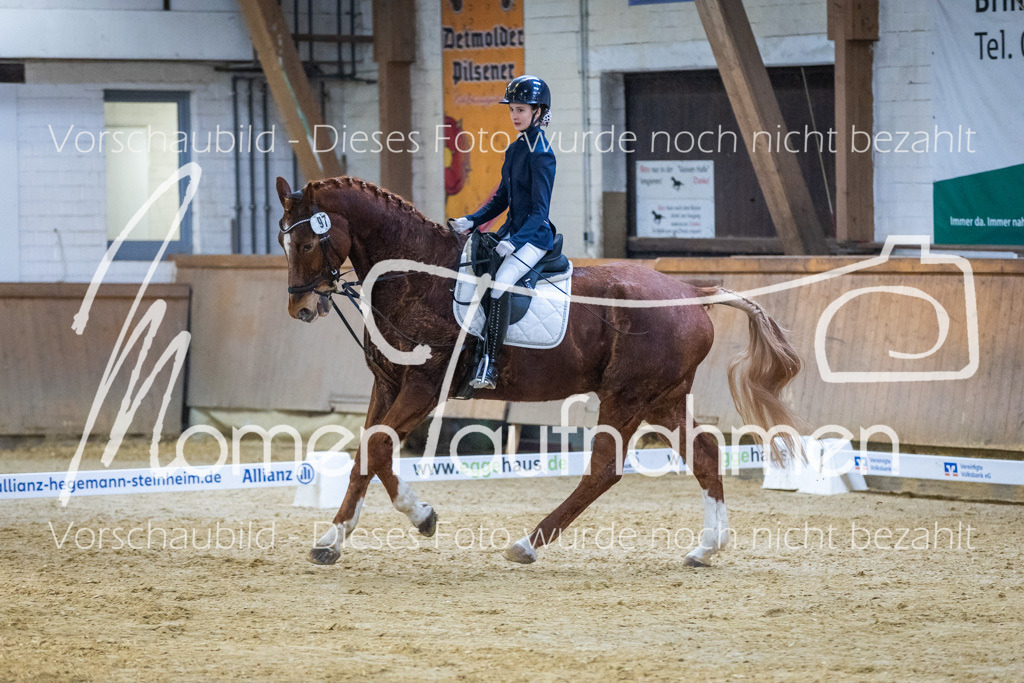 Sth-WBO25-DrR-149 | MomenTaufnahmen Pferdesportfotos