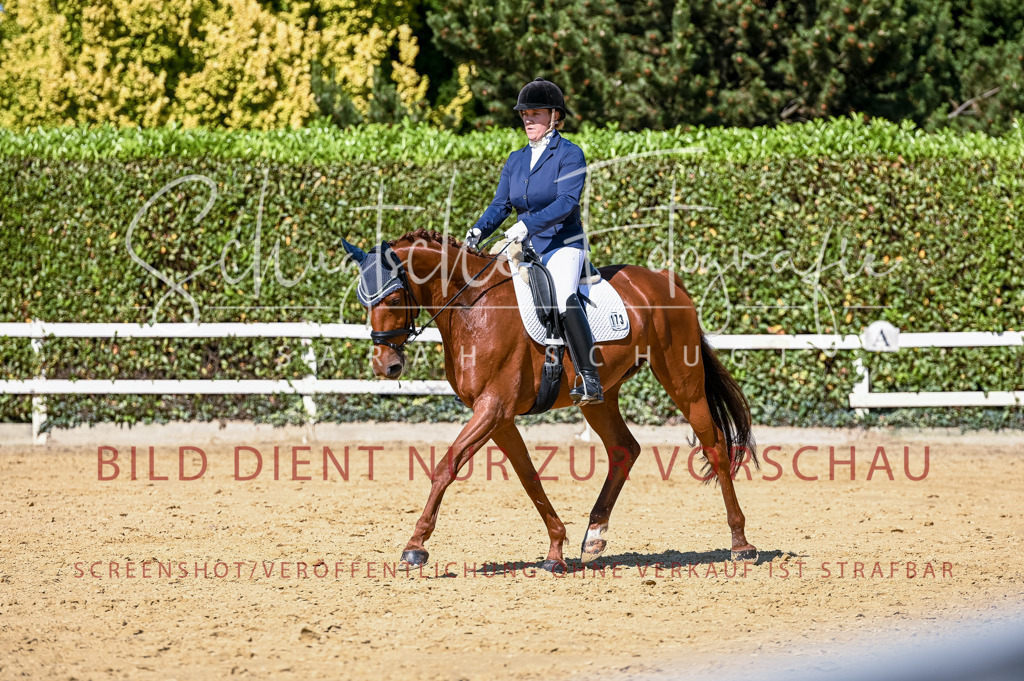 Schugtsche-Aluta25-50.Dressurpferdeprf.L-115 | Schugtsche Fotografie - Realisiert mit Pictrs.com