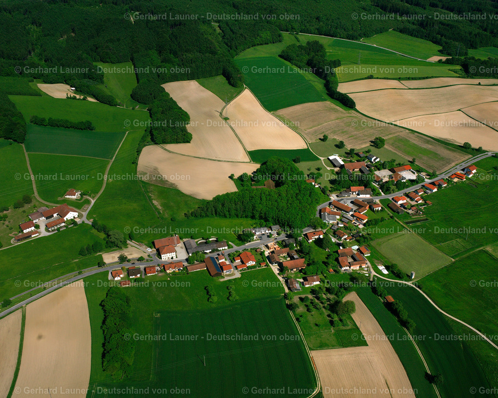 2517468 | Schwertling