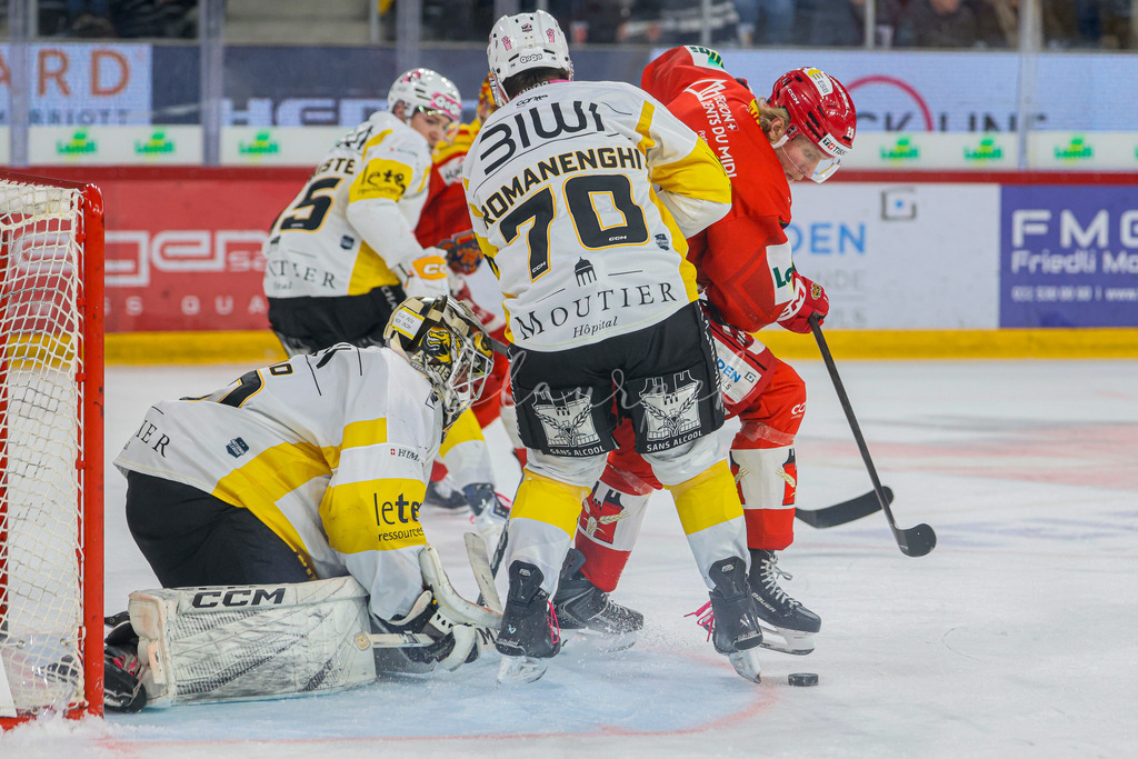 EHCB vs HCA 20260127_wb-9507 | Sportbilder, Sportfotograf, Hochzeits- und Eventfotografin, Flugshows, Portraits und Tiershooting, Aviation, Downhill, Nationalleague, Swissleague, International