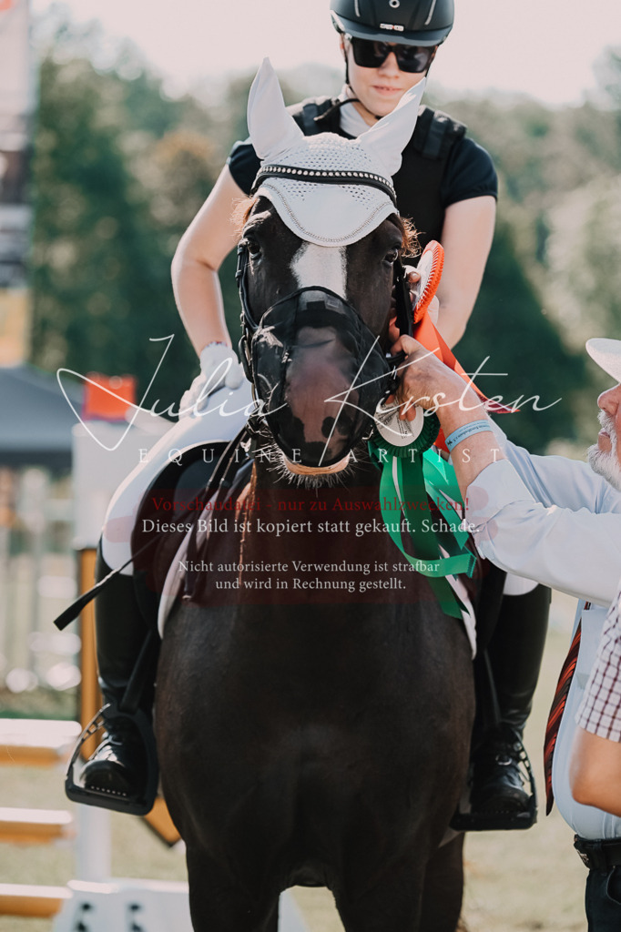 DSC_4923 | Pferde- und Turnierfotografie in Westsachsen. Pferdeportraits, Auftragszeichnungen und intuitive Kunst.