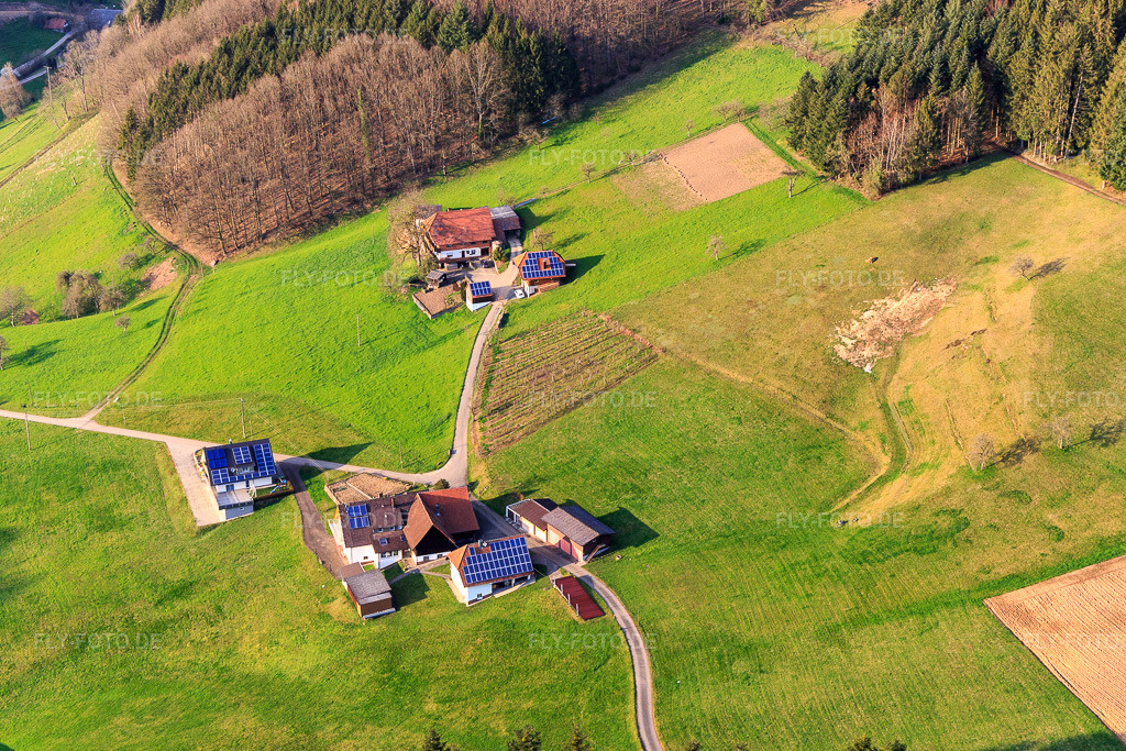 Luftbild: Schwarzwaldhöfe an der Waldstr in Haslach im Kinzigtal im Bundesland Baden-Württemberg in Deutschland. Foto: IMG_120328.jpg vom 17.03.2020 durch Werner Riehm/FLY-FOTO.de