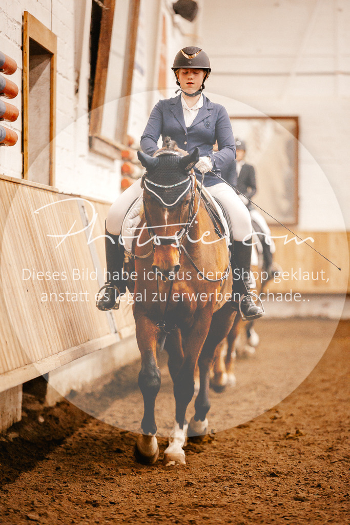 3I6A3606 | Stimmungsvolle Portraits und Reitsportfotografie im Ruhrgebiet und im Münsterland.

Pferdefotografie, Hundefotografie, Tierfotografie, Reportagen, Portraits von Tier und Mensch, Turnierfotografie in Bochum, Recklinghausen, Marl, Haltern am See, Dülmen.. - Realisiert mit Pictrs.com