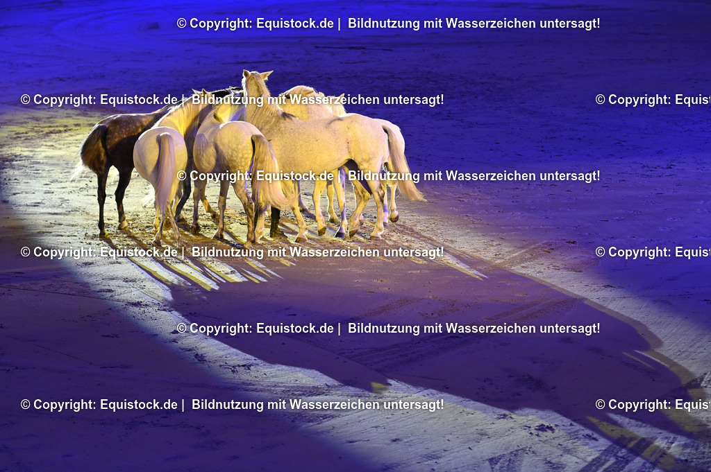 20231115_Show-Jean-Francois-Pignon_0108_TOMsPiC | Foto: Thomas Hartig