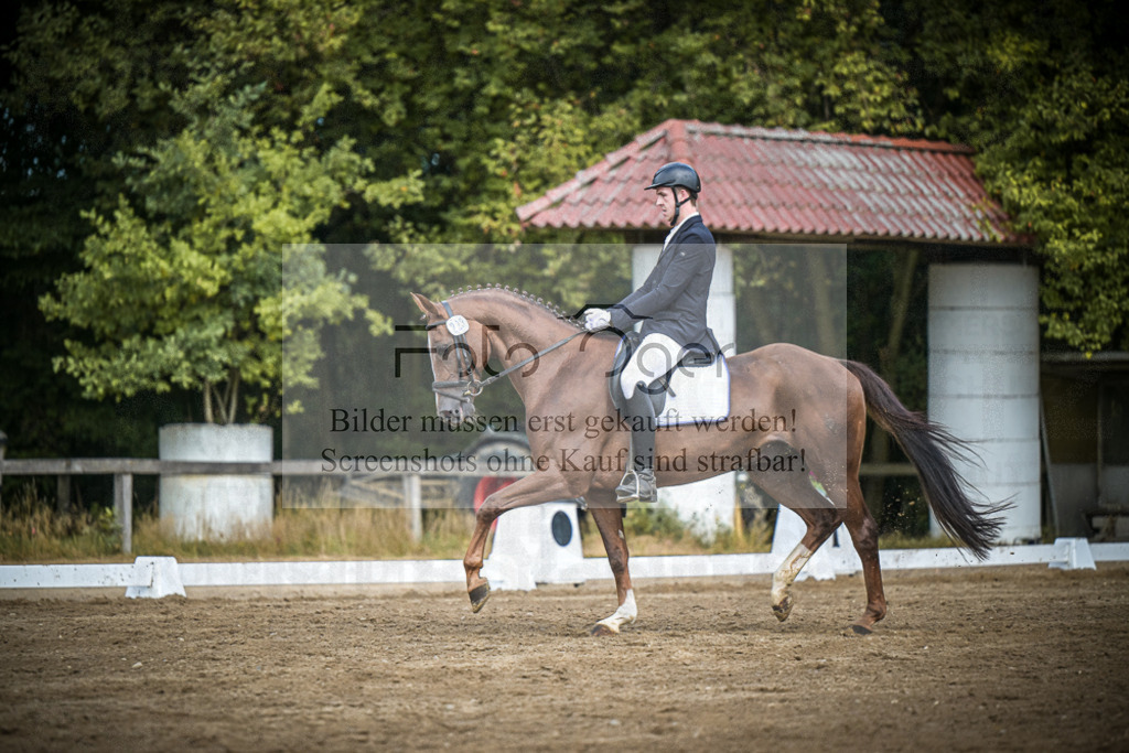 DOS_0419 | Entdecke hochwertige Reitturnierfotos von Foto Oger. Professionell, emotional und authentisch – jetzt Lieblingsmomente im Shop bestellen.Deutschlandweite Turnierfotografie. - Realisiert mit Pictrs.com