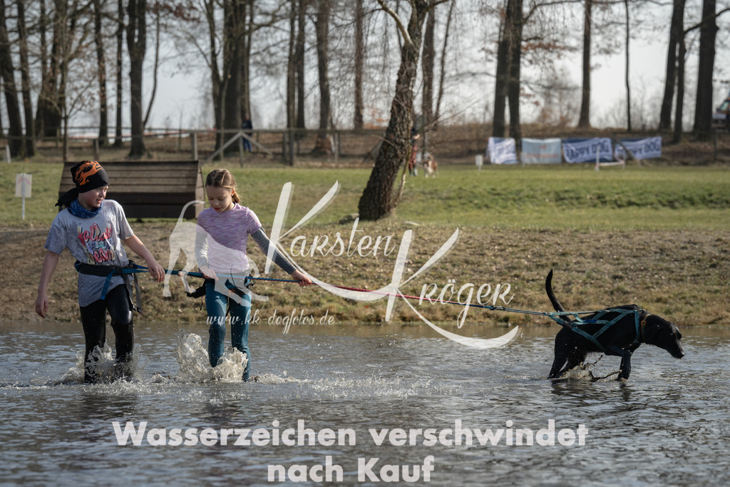 1323_ZZ96060 | kk-dogfotos