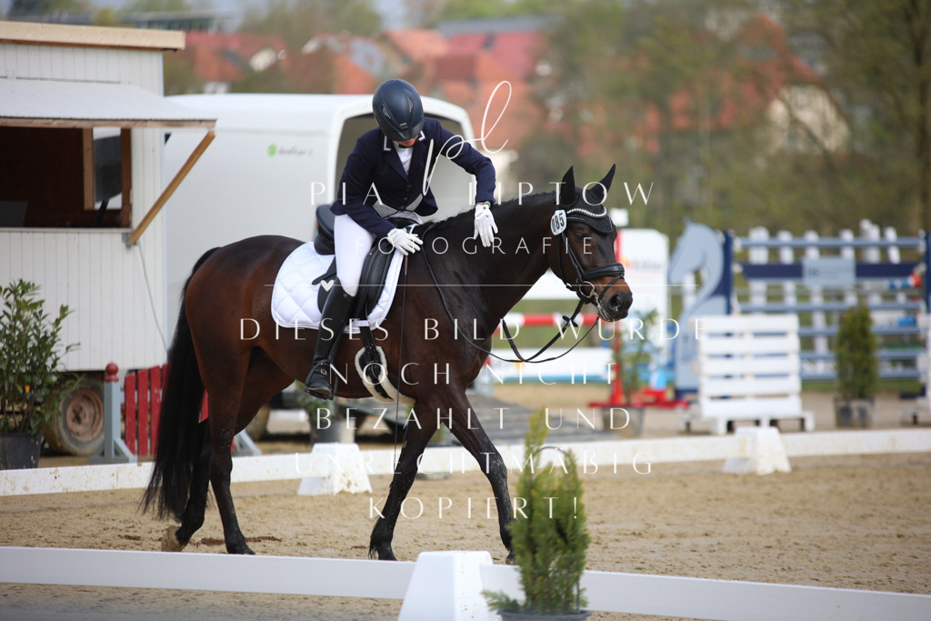 IMGT6140 | pl-fotografie