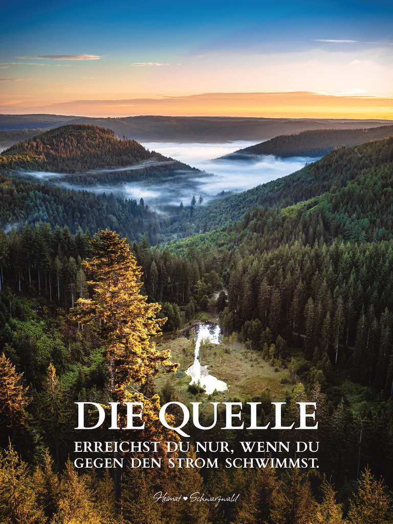 Edition “MOTIVATION” | Spruch: DIE QUELLE ERREICHST DU NUR, WENN DU GEGEN DEN STROM SCHWIMMST. Die Edition “MOTIVATION” bringt den Spirit des Schwarzwaldes zu Ihnen nach Hause. Wählen Sie Ihren Lieblingsspruch aus zehn unterschiedlichen Varianten. Perfekt für Ihr eigenes Zuhause oder als Geschenk für heimatverliebte Freunde.
 - Realisiert mit Pictrs.com