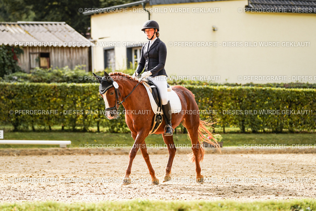 DSC00773 | Pferdegrafie