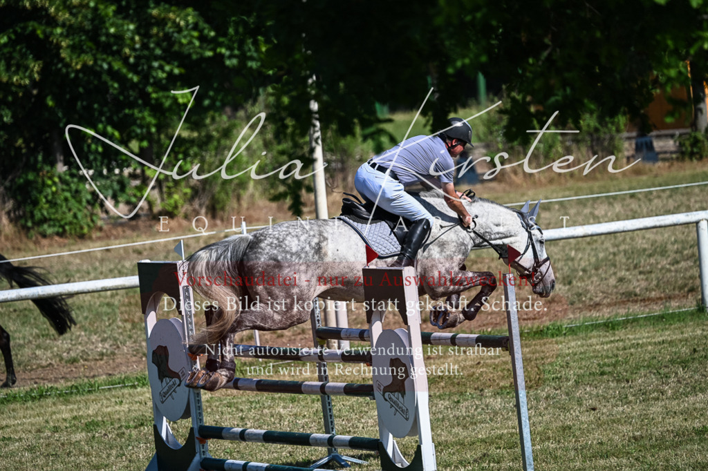 DSC_1975 | Pferde- und Turnierfotografie in Westsachsen. Pferdeportraits, Auftragszeichnungen und intuitive Kunst.
