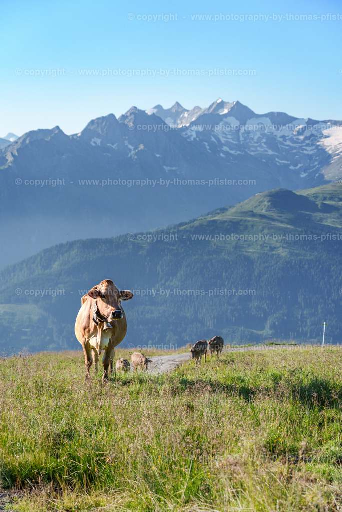 Isskogel Gerlos Sommer copyright  Thomas Pfister-64 | PHOTOGRAPHY BY THOMAS PFISTER